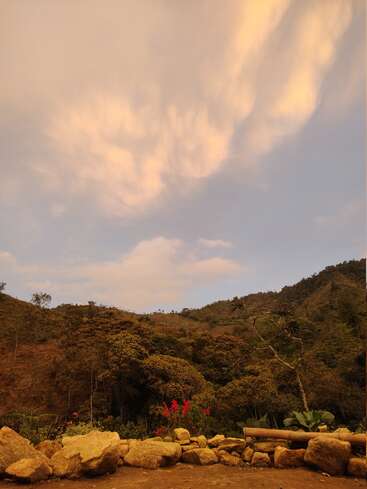 Au crépuscule, des nuages dorés s'étendent dans le ciel au-dessus de collines verdoyantes et d'arbres épars. Des pierres et des fleurs d'un rouge éclatant apportent de la couleur et de la texture au premier plan.