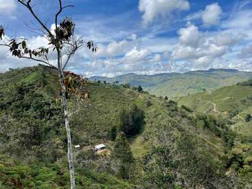 Des collines verdoyantes s'étendent sous un ciel d'un bleu éclatant parsemé de nuages. Un arbre solitaire se dresse au premier plan. Une petite maison se niche en contrebas.