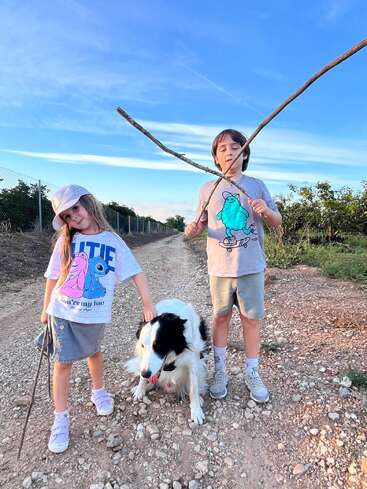 Duas crianças e um cachorro preto e branco estão em um caminho rochoso sob um céu azul claro. O menino segura grandes gravetos e a menina acaricia o cachorro.