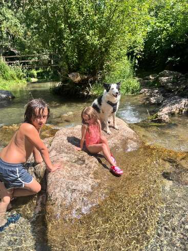 Duas crianças e um cachorro preto e branco sentam-se em uma grande pedra em um riacho claro e raso, cercado por uma vegetação exuberante e luz solar intensa em um dia de verão.