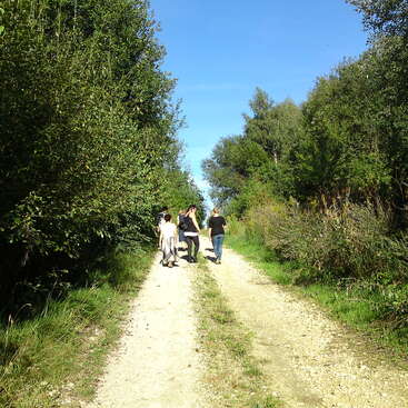 The image depicts a serene scene of five individuals strolling along a gravel path flanked by lush greenery and trees on either side, set against a clear blue sky.