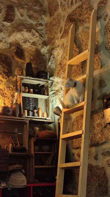 Um gato branco está sentado em uma escada de madeira encostada a uma parede rústica de pedra, em um cômodo aconchegante cheio de prateleiras de madeira, cerâmicas e uma iluminação suave.