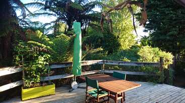 A wooden deck with a table, chairs, green umbrella, and planter. Surrounded by lush green trees, ferns, and bright sunlight, creating a serene outdoor retreat.