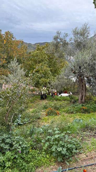 A lush garden with various plants and flowers, surrounded by trees. Two people are working, tending to the greenery under a cloudy sky and mountains.
