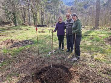 Three people stand together smiling outdoors in a forest clearing, next to a freshly planted young tree. The group appears happy, enjoying a tree-planting activity in nature.