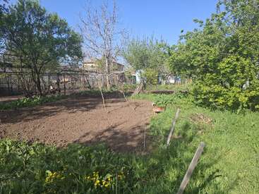 Ein sonniger Garten mit einem frisch umgegrabenen Beet, umgeben von grünem Gras, blühenden gelben Blumen, laubreichen Bäumen und einem kleinen Hund, der die Gegend erkundet.