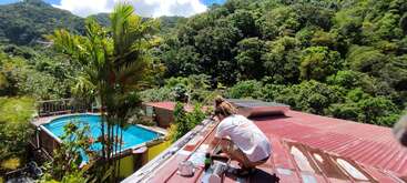 Una persona está trabajando en una azotea roja rodeada de un frondoso bosque. Cerca hay una piscina y una palmera, bajo un cielo soleado.
