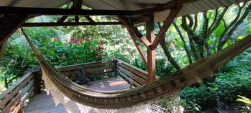 Una acogedora hamaca cuelga bajo un dosel de madera, rodeada de una exuberante vegetación tropical y flores de vivos colores, creando un rincón apacible y tranquilo ideal para relajarse y disfrutar de la naturaleza.