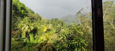 Vista desde una ventana de una exuberante selva tropical, con palmeras, una densa vegetación, montañas envueltas en niebla y un tenue arco iris que se dibuja sobre un cielo nublado, lo que transmite una gran sensación de tranquilidad.