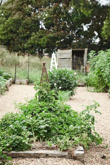 A lush garden bed with green plants grows around a metal trellis. In the background, there’s a wooden compost bin and pebble paths, surrounded by greenery.