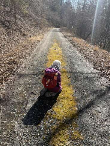 Un enfant avec un sac à dos rouge est agenouillé sur un chemin rural ensoleillé couvert de mousse jaune, entouré d'arbres dénudés et de l'atmosphère tranquille du début du printemps.