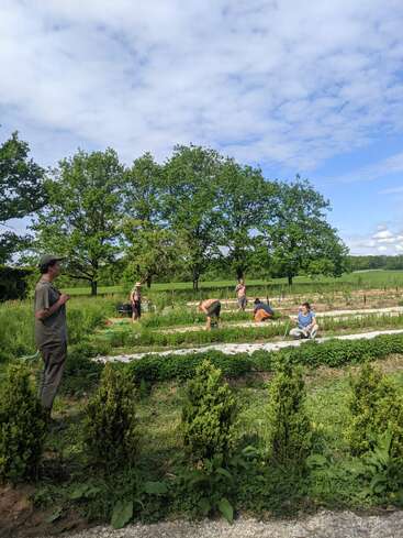 L'image représente un jardin serein où cinq personnes s'occupent de la terre, entouré d'arbres luxuriants et d'un ciel d'un bleu éclatant avec des nuages blancs.
