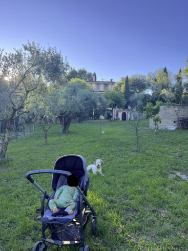 Ein Baby im Kinderwagen sitzt auf grünem Gras unter klarem, blauem Himmel, mit einem kleinen weißen Hund in der Nähe. Im Hintergrund sind ein Haus und Bäume zu sehen.