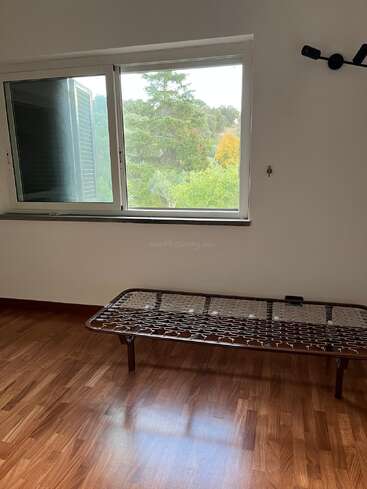 Ein einfacher, leerer Raum mit Holzfußboden, Metallbettgestell, großem Fenster mit Blick auf grüne Bäume und weißen Wänden. Natürliches Licht erhellt den minimalistischen, aufgeräumten Raum.