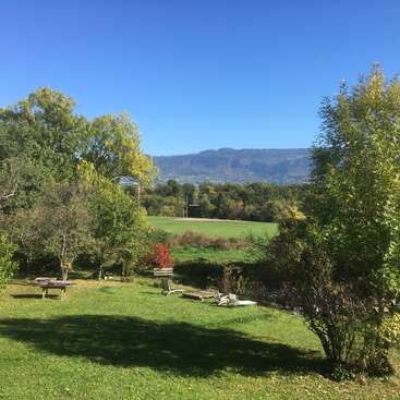 Eine sonnige Landschaft mit grünem Gras, vereinzelten Bäumen, fernen Hügeln und ein paar Holzbänken und Liegestühlen. Der Himmel ist klar und strahlend blau.