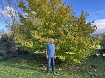 Um homem de camiseta azul e jeans está em pé na grama, em frente a uma árvore grande e frondosa. O céu está azul e parcialmente nublado.