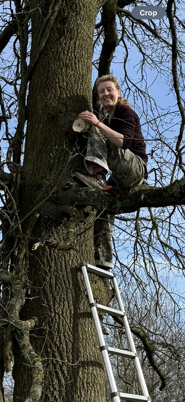 A person is standing on a tree branch, with their legs visible, wearing shorts and no shoes. The background is blurry, but appears to be a forest or wooded area.