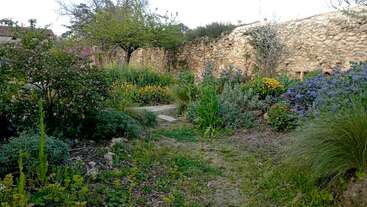 A lush garden filled with various colorful flowers and plants, bordered by a rustic stone wall, with patches of grass and a narrow walking path.