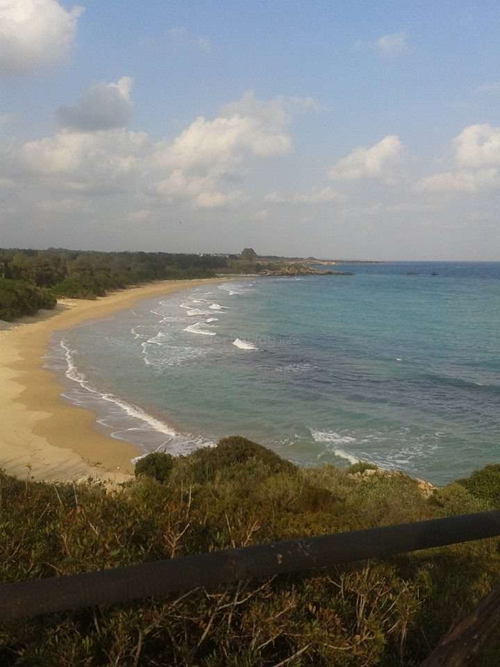 Help around the house, talk to me in English, gardening and enjoy