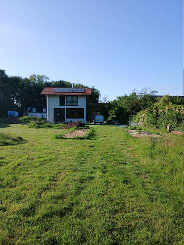 A small white house with a red roof stands in a large grassy yard, surrounded by trees, bushes, garden beds, and bathed in bright sunlight.