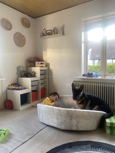 Ein gemütliches Spielzimmer mit Spielzeug und Regalen. Ein kleines Kind und ein großer Schäferhund teilen sich ein plüschiges Hundebett in der Nähe eines sonnigen Fensters und schaffen eine herzerwärmende Szene.