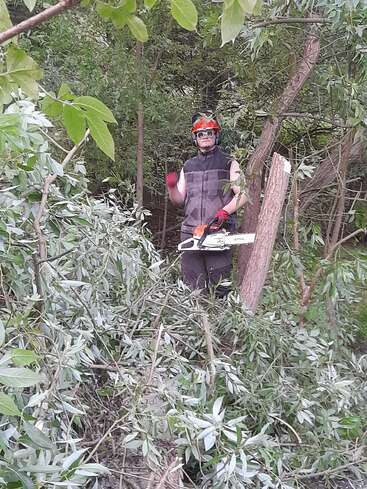 A person wearing protective gear, gloves, and safety glasses stands in a forest, holding a chainsaw. Freshly cut branches and leaves are scattered everywhere.