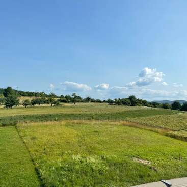 A peaceful rural landscape with green grassy fields, scattered trees, and blue sky. A few clouds drift above gently rolling hills in the serene countryside.