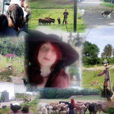 The image is a collage of various farm scenes, featuring people, animals, and a scarecrow, with a central photo of a woman in a black hat.