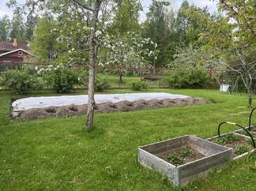 Ein üppig grüner Garten mit blühenden Bäumen, Hochbeeten, einer frisch hergerichteten Pflanzfläche, die mit einer Plane abgedeckt ist, und hölzernen Pflanzkästen im Vordergrund.