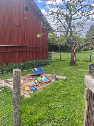 Eine ländliche Hinterhofszene mit einer roten Scheune, grünem Gras, einem mit Spielzeug gefüllten Sandkasten, einem Holzzaun und einem großen Baum unter bewölktem Himmel.