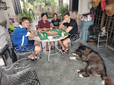 Four people sit around a table playing a board game outdoors. A large black dog lies on the floor. Various household items and plants surround them.