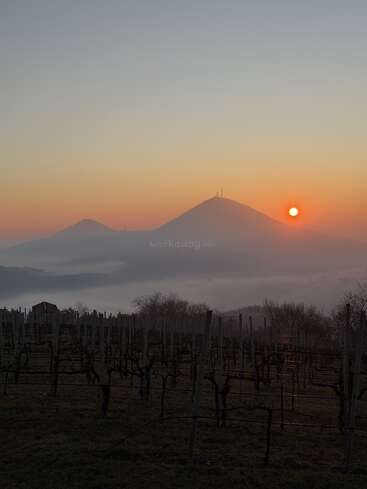 A serene vineyard stretches across the foreground, silhouetted against a misty landscape. Two hills rise in the distance under a vibrant orange sunrise sky.