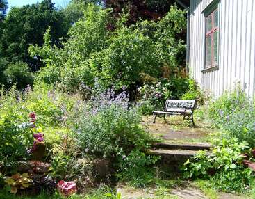 A imagem mostra um jardim sereno com um banco, cercado por uma vegetação exuberante e flores vibrantes, tendo como pano de fundo uma casa branca.