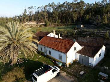 Uma casa branca com telhado vermelho fica ao lado de uma grande palmeira e de uma van branca, cercada por campos gramados e uma floresta densa ao fundo.