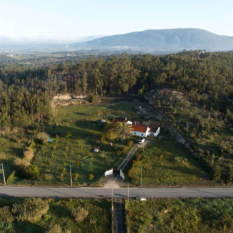 Uma vista aérea de uma propriedade rural com uma casa branca, telhado vermelho, árvores, campos, uma entrada de carros, uma floresta próxima, montanhas ao redor e um céu azul claro.