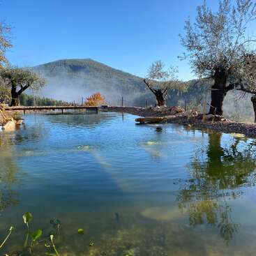Ein ruhiger Teich mit klarem Wasser, umgeben von Bäumen und Kieselsteinen, spiegelt den blauen Himmel wider. Nebelverhangene Hügel und ferne Berge schaffen eine friedliche Landschaft.