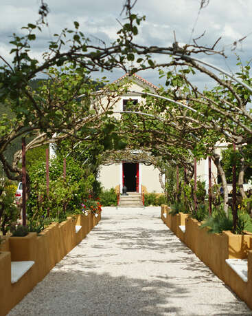 Um caminho de cascalho leva a uma casa encantadora. No alto, uma treliça coberta de folhagem forma um arco gracioso. Flores coloridas e uma vegetação exuberante contornam o jardim com bordas douradas, criando uma entrada acolhedora.