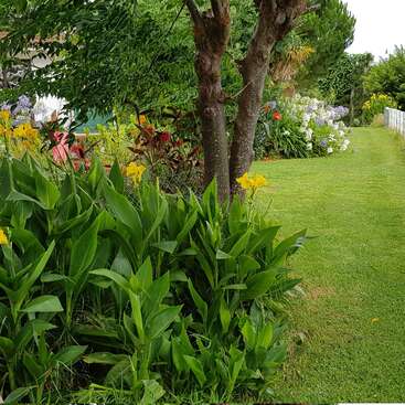 L'image représente une scène extérieure sereine, avec une pelouse bien entretenue et un arbre bien visible, entourée d'une clôture et d'un sentier menant à une maison, évoquant un sentiment de tranquillité.