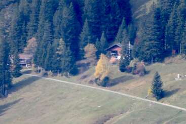 A cozy cabin sits nestled among dense pine trees and autumn foliage, alongside a winding road, surrounded by peaceful grassy hills and serene, natural beauty.