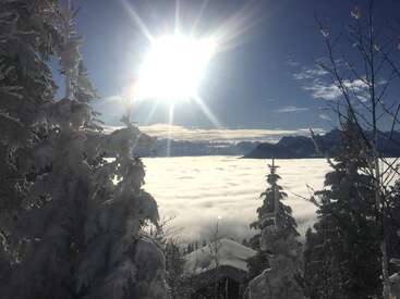 Bright winter sun illuminates snow-covered trees. Thick clouds blanket the valley below, while distant mountains rise dramatically under a vivid blue sky, creating a serene, magical landscape.