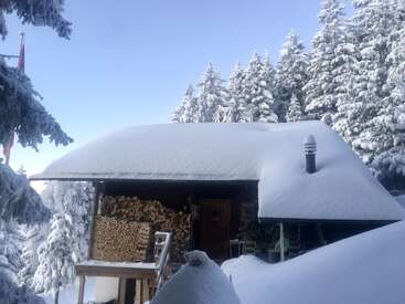 A cozy wooden cabin is surrounded by snow-covered pine trees. Thick snow blankets the roof and ground. Stacked firewood is visible beside the front porch.