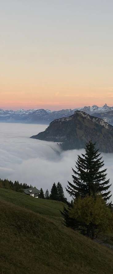 A serene mountain landscape at sunrise, with a cozy house on a grassy slope, pine trees, misty clouds below, and snow-capped peaks in the background. Peaceful.
