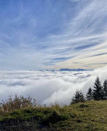 A grassy foreground overlooks a breathtaking sea of clouds, with distant mountain peaks visible. Pines stand on the right, beneath a vast, softly streaked blue sky.