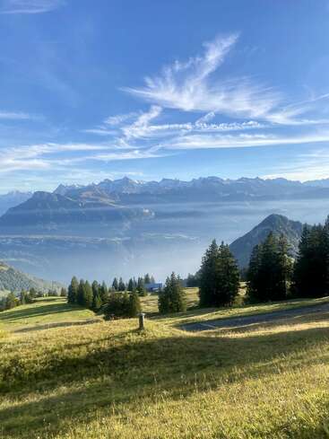 Rolling green hills and pine trees stretch toward distant snow-capped mountains under a brilliant blue sky with wispy clouds, creating a breathtaking serene alpine landscape.