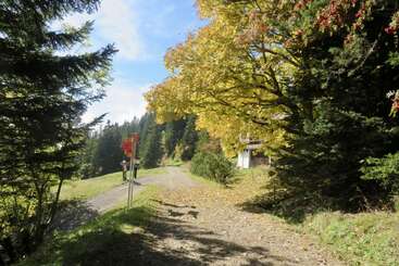 A peaceful forest path winds through lush trees with autumn leaves. Sunshine filters through branches, highlighting a trail sign and rustic building along the quiet road.