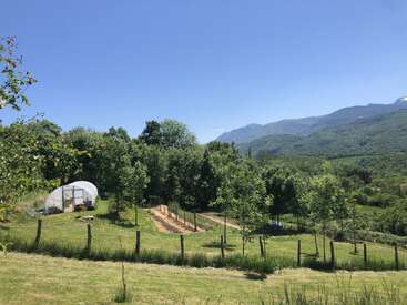 Eine friedliche ländliche Landschaft mit einem kleinen Gewächshaus, gepflegten Gartenreihen, jungen Bäumen, grasbewachsenen Feldern, fernen Bergen und einem klaren blauen Himmel an einem sonnigen Tag.