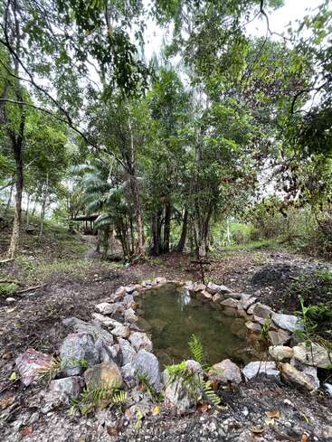 L'image représente un cadre naturel serein, avec un petit étang entouré de rochers et de verdure luxuriante, et une maison visible à l'arrière-plan au milieu des arbres.