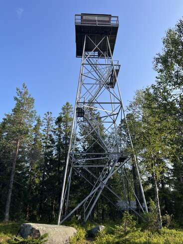 Ein hoher metallener Aussichtsturm steht inmitten eines Waldes aus grünen Kiefern und ragt in einen klaren blauen Himmel, in dem das Sonnenlicht die natürliche Umgebung beleuchtet.