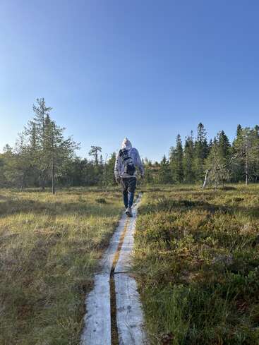 Eine Person in einem Kapuzenpulli geht an einem sonnigen Tag unter blauem Himmel einen Holzweg entlang, der durch eine von Bäumen umgebene Wiese führt.