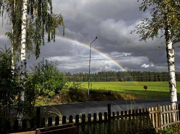 Un hermoso arco iris cruza un cielo nublado sobre un campo verde, enmarcado por altos abedules, una valla de madera y un tranquilo camino rural.